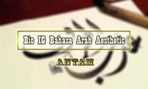 Bio IG Bahasa Arab Aesthetic