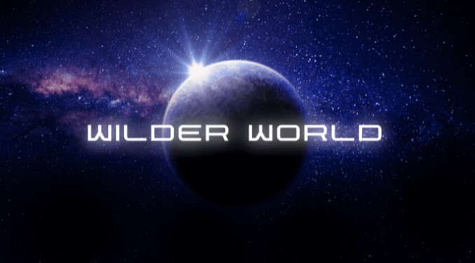 Koin-Crypto-Terbaik-Wilder-World