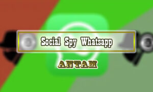 Social-Spy-Whatsapp