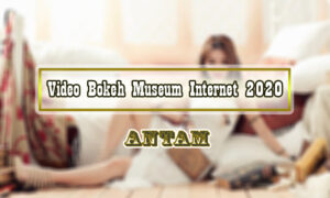 Video-Bokeh-Museum-Internet-2020