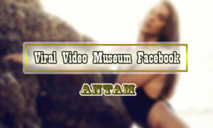 Viral-Video-Museum