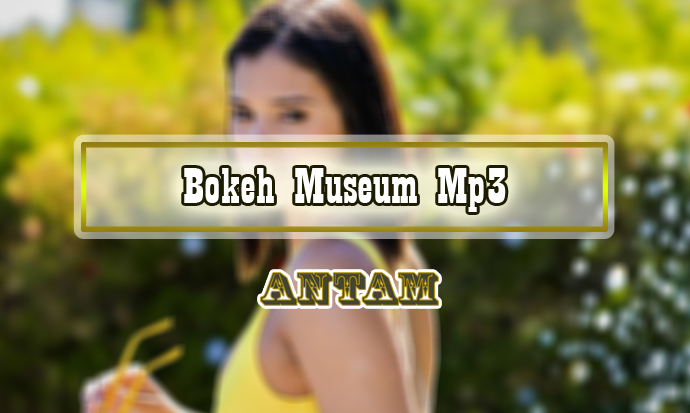 Bokeh-Museum-Mp3