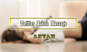 Twitter-Bokeh-Message