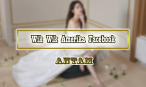 Wik-Wik-Amerika-Facebook