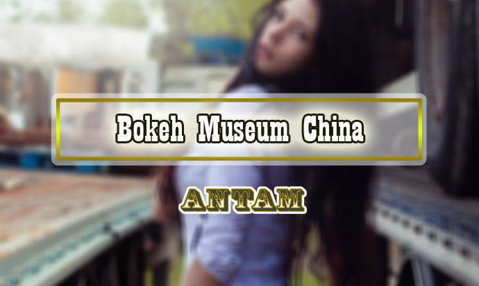Bokeh-Museum-China