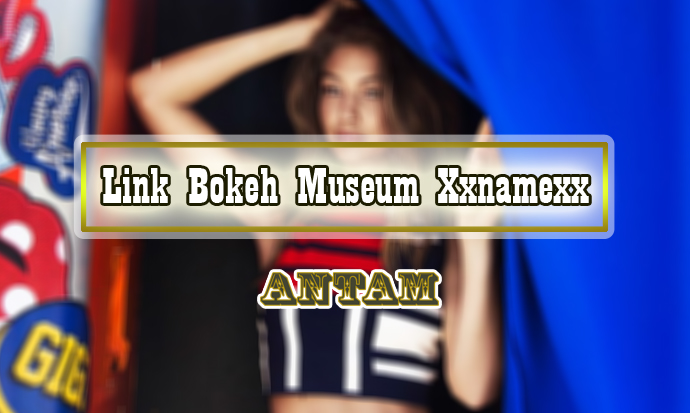 Link-Bokeh-Museum-Xxnamexx