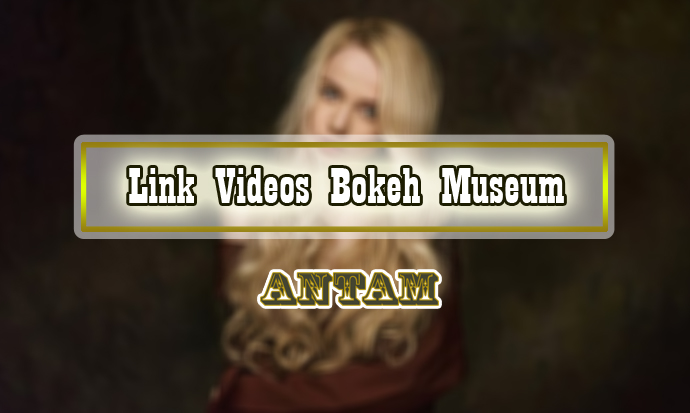 Link-Videos-Bokeh-Museum