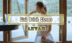 Link-Bokeh-Chrome