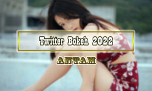 Twitter-Bokeh-2022-Japanese