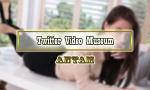 Twitter-Video-Museum
