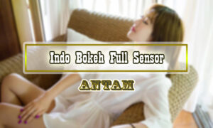 Indo-Bokeh-Full-Sensor