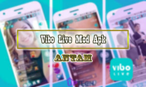 Vibo-Live-Mod-Apk
